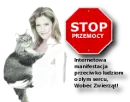 Stop, Abuse, peta