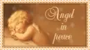 Angel In Peace