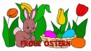 Osterhase auf Wiese