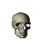 Head