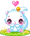 cute kitty