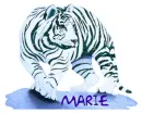 Tigar