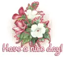 Have a nice day!