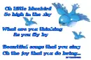 Little bluebird