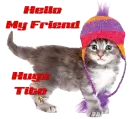 cute cat hello my friend