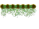 St Patrick's Shamrock and Coin Confetti border