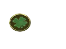 Irish Gold Coin I Love It