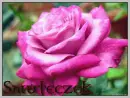 My name --- Smuteczek
