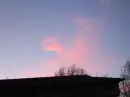 hearts