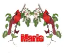 Red Birds