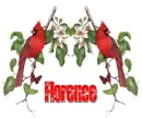 Red Birds