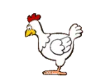 funny chicken and worm