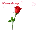 Red Rose