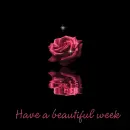 Red Rose