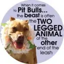 misunderstood pitbulls