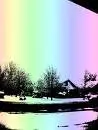 Rainbow Forest
