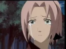 sakura crying