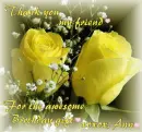 thank you ann