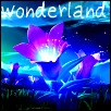 Wonderland