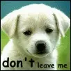 Don't leave me