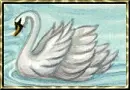 swan