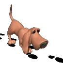 bloodhound tracking