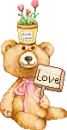 Teddy