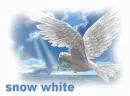 snowhite