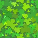 shamrock wallpaper background