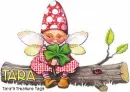 Tara shamrock fairy