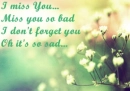 I Miss U