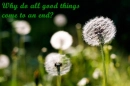 Why do all good things come to an end?