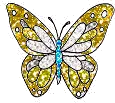 butterfly