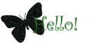 butterfly hello