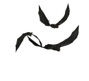 Bats