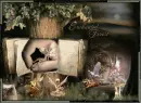 enchanted forest