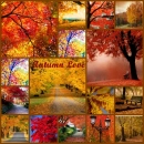 Autumn Love [Collage]