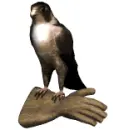 Falcon