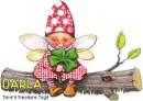 Darla shamrock fairy