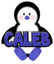 Baby Boy Penguin -Caleb-
