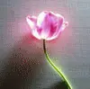 glowing flower