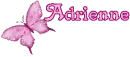 ~Butterfly Adrienne~