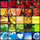 Colorful Collage