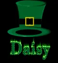 Daisy