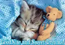 Sleepy