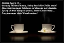 Cup Coffe