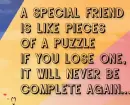 A special Friend
