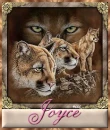 Joyce