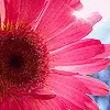 Pink <3