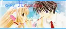 Anime Love or Happiness